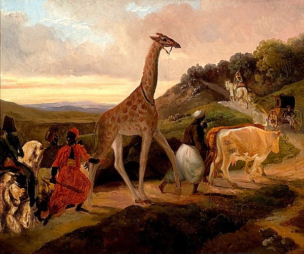 Home by a neck; a giraffe’s epic journey from Cairo to Paris – 1825 gift from Muhammad Ali Pasha to Charles X of France